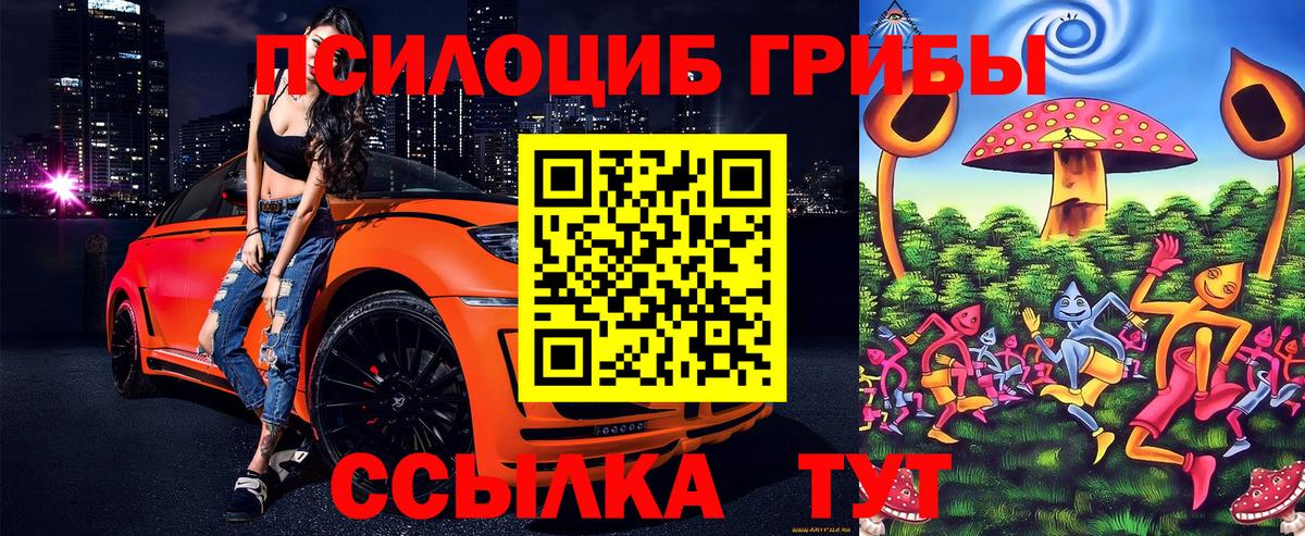 Галлюциногенные грибы Cubensis Грязи