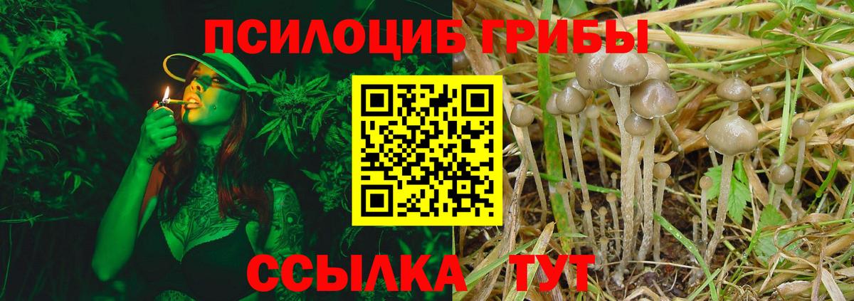 Галлюциногенные грибы прущие грибы  Вход с VPN  Грязи  Псилоцибиновые грибы GOLDEN TEACHER 